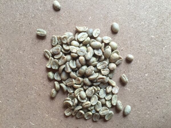 green coffee beans