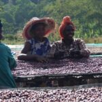 Yirgacheffe Rachia Gr 1