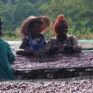 Yirgacheffe Rachia Gr 1