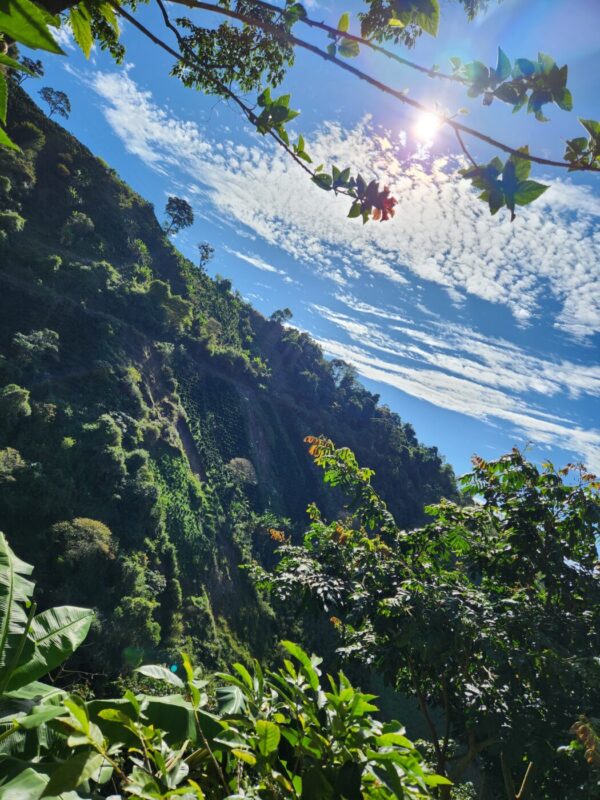 Guatemala Santa Rosa Hue Hue