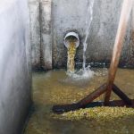 Bali SENJA Batukaang #04 Anerobic Honey Process Micro Lot