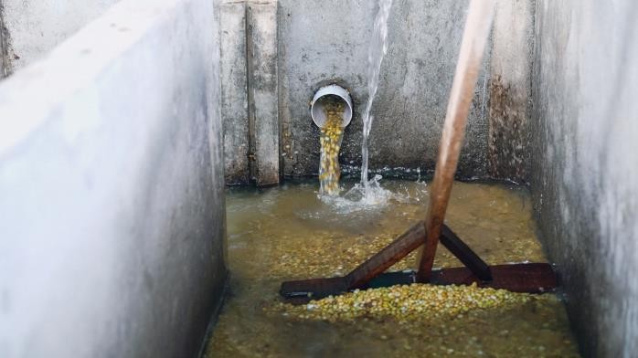 Bali SENJA Batukaang #04 Anerobic Honey Process Micro Lot