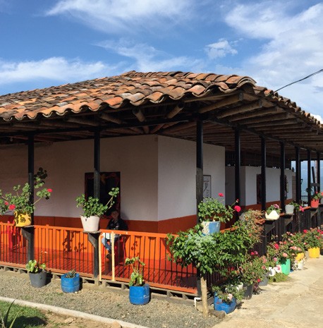 Colombia Antioquia Excelso