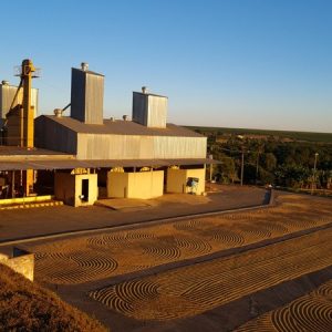 Brazil São Luiz Farm Pulped Natural
